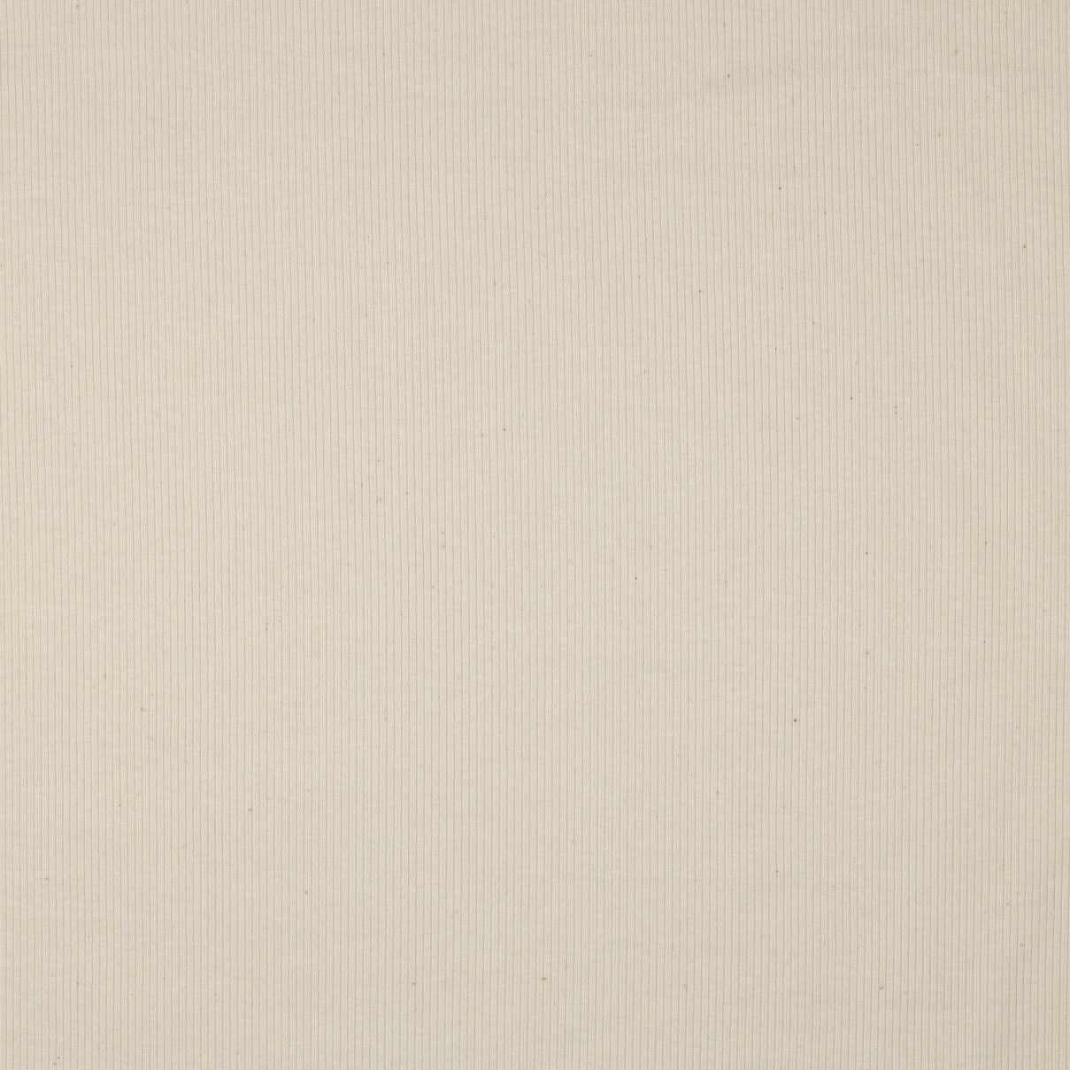 RIB JERSEY - NATURAL