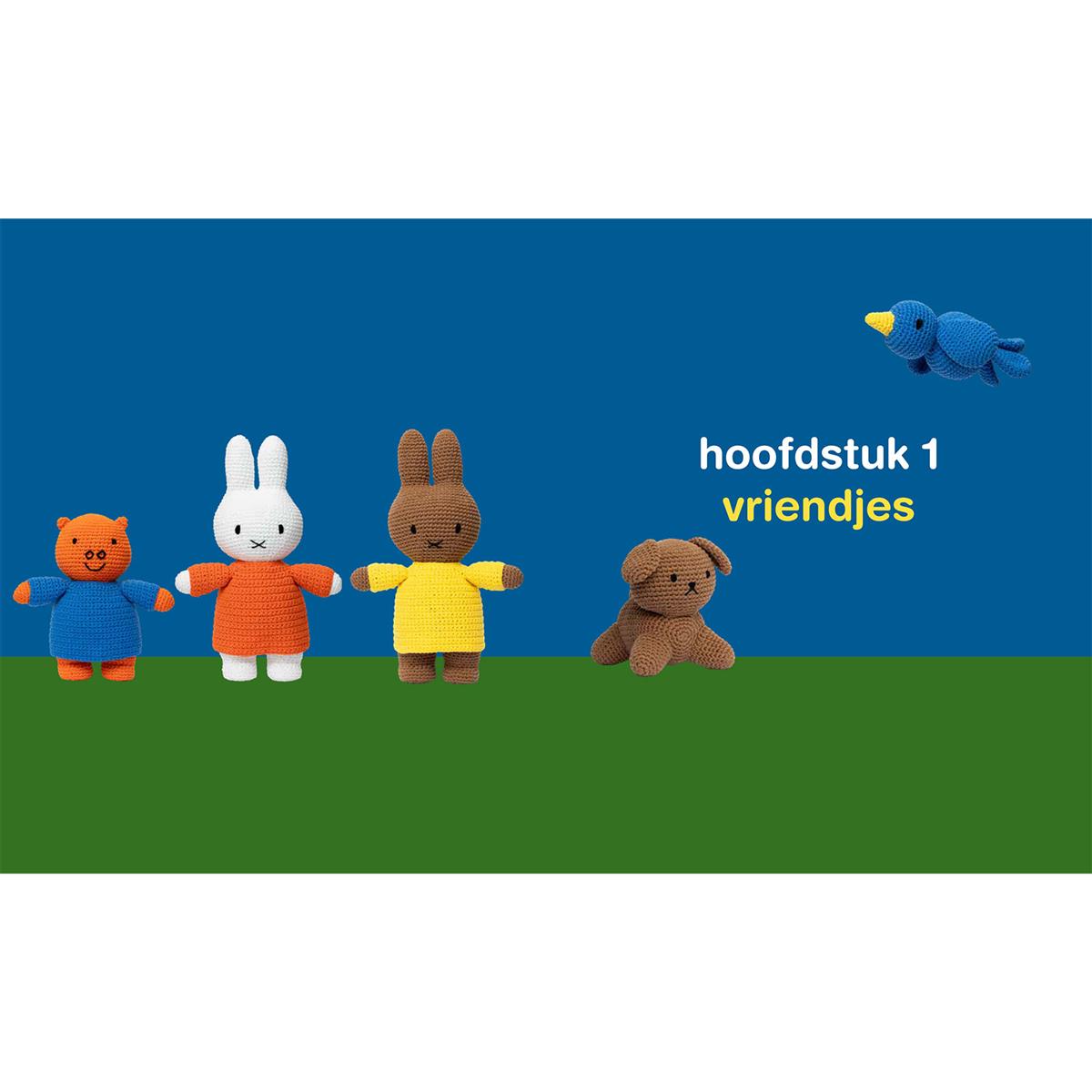 Het grote nijntje haakboek