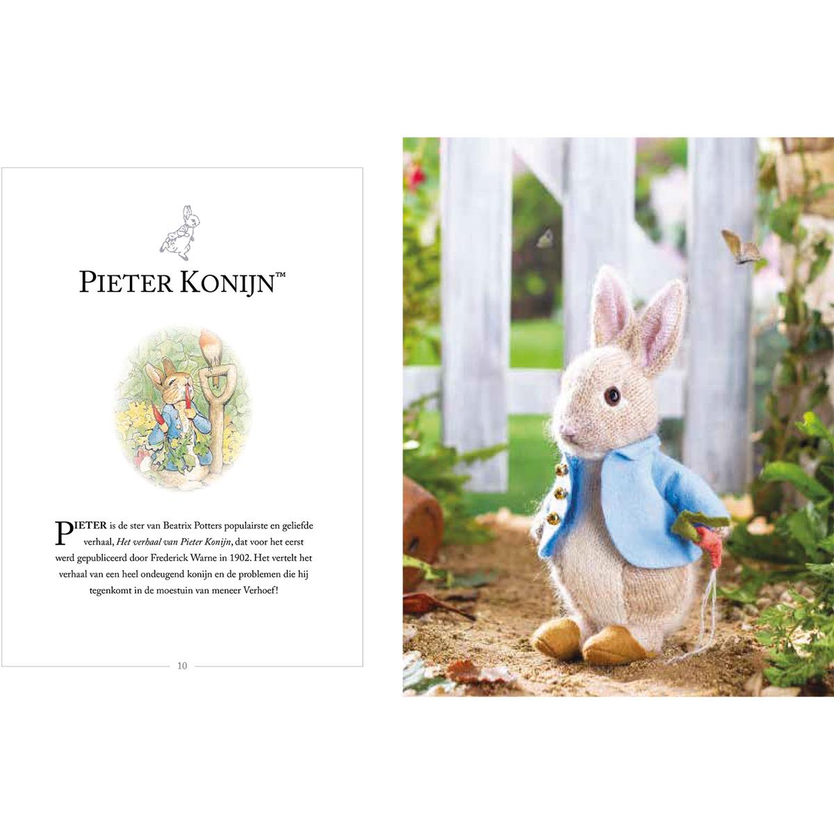 Het officiële Pieter Konijn breiboek