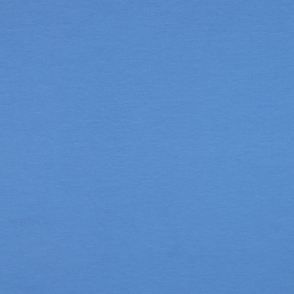 FRENCH TERRY GOTS - BLUE