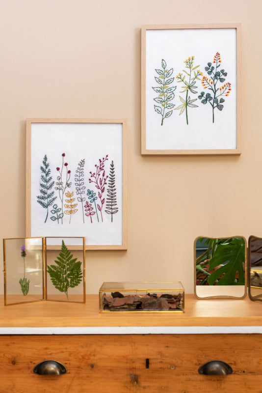 DMC Eco Vita - De schatkamer van een Botanicus