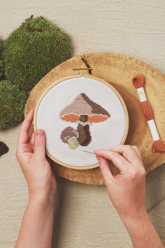 DMC Eco Vita - De schatkamer van een Botanicus