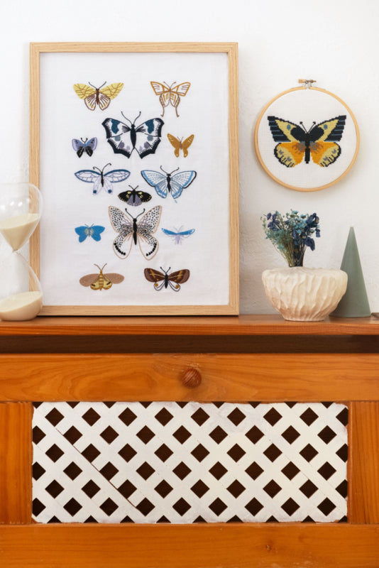 DMC Eco Vita - De schatkamer van een Botanicus