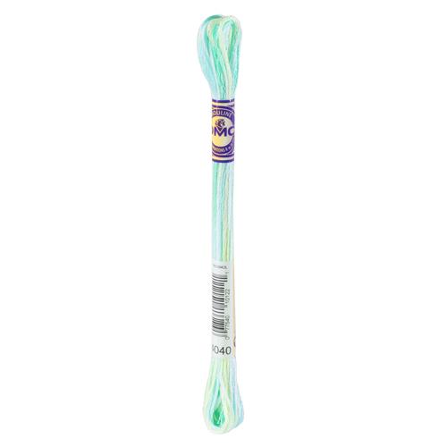 DMC Mouliné Color Variations borduurgaren 6 draads 8 meter - Kleur 4040