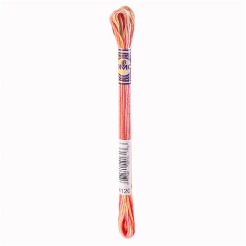 DMC Mouliné Color Variations borduurgaren 6 draads 8 meter - Kleur 4120