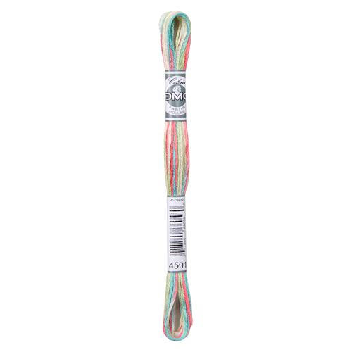 DMC Mouliné Coloris borduurgaren 6 draads 8 meter - Kleur 4501