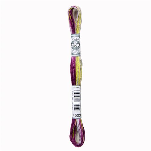 DMC Mouliné Coloris borduurgaren 6 draads 8 meter - Kleur 4503