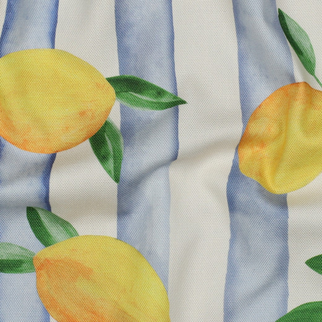 CANVAS DIGITAL LEMONS