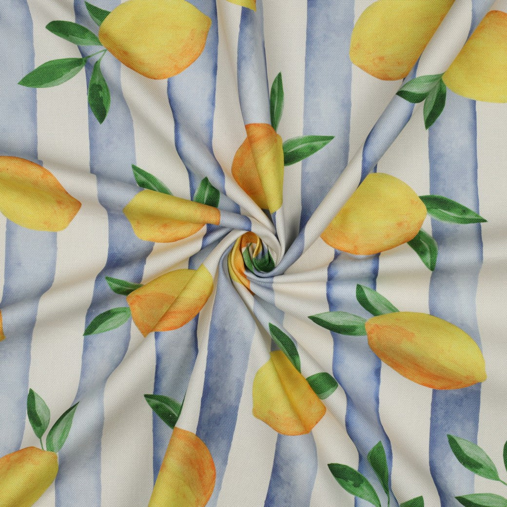 CANVAS DIGITAL LEMONS