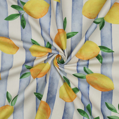 CANVAS DIGITAL LEMONS