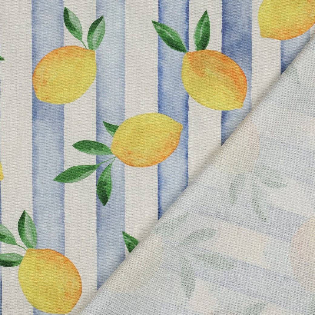 CANVAS DIGITAL LEMONS