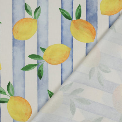 CANVAS DIGITAL LEMONS