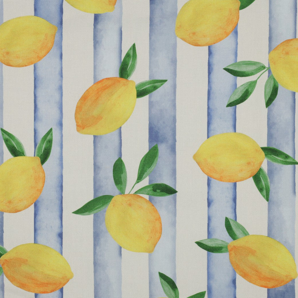 CANVAS DIGITAL LEMONS