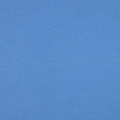 FRENCH TERRY GOTS - BLUE
