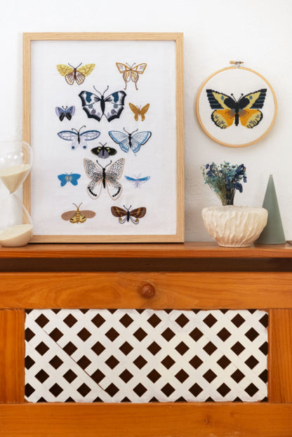 DMC Eco Vita - De schatkamer van een Botanicus