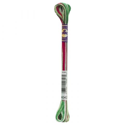 DMC Mouliné Color Variations borduurgaren 6 draads 8 meter - Kleur 4042