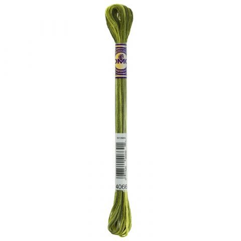 DMC Mouliné Color Variations borduurgaren 6 draads 8 meter - Kleur 4066